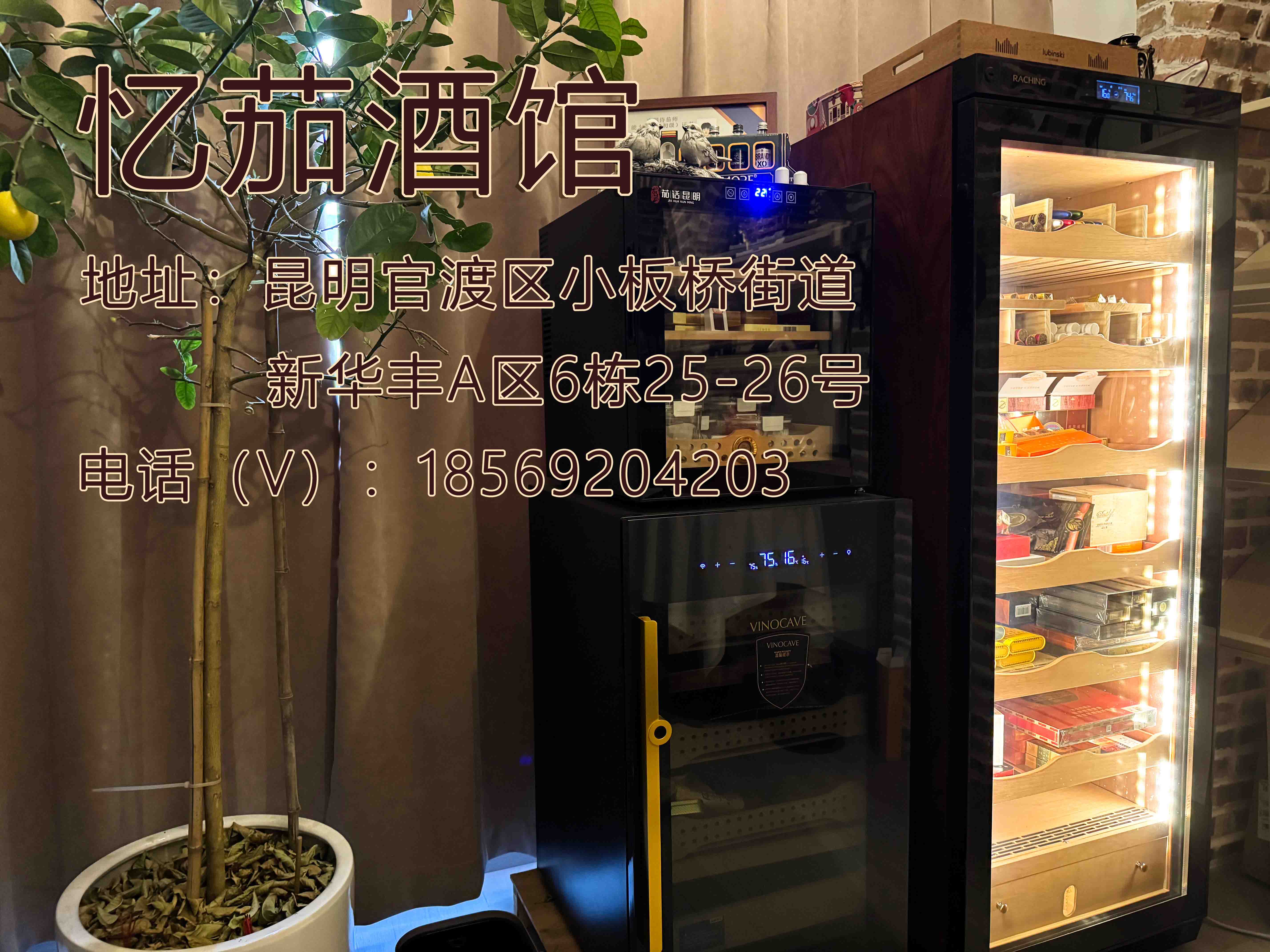 图片00
